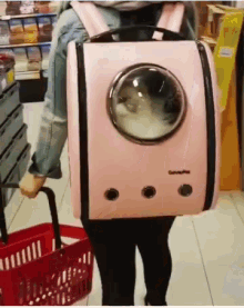 Cat Grocery GIF - Cat Grocery Cute GIFs