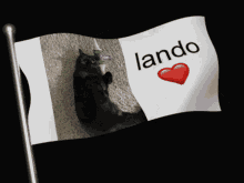 Lando Dcwest GIF - Lando Dcwest Dcwest Cat GIFs