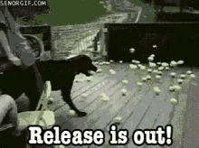 Release It Out GIF - Release Dog Release Is Out GIFs