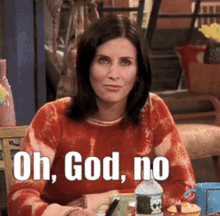 Friends Monica Geller Gif Friends Monica Geller Courteney Cox Discover Share Gifs