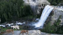 Waterfall Elephant GIF - Waterfall Elephant Nature GIFs