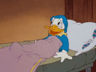 sleeping,sleep,bed,Donald Duck,gif,animated gif,gifs,meme. 