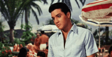 Elvis GIF - Elvis Presley Charming Nod GIFs