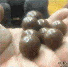 Chocolate Balls GIF - Chocolate Balls Milk Duds GIFs