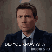 Did You Know What Would Happen Charlie Hudson GIF - Did You Know What Would Happen Charlie Hudson Hudson And Rex GIFs