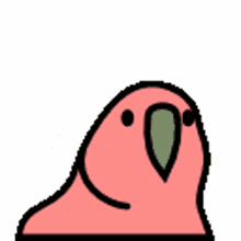 fast parrot shaking party colorful