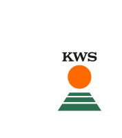 Kws Kwsconviso Sticker - Kws Kwsconviso Conviso Stickers