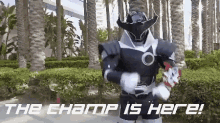 is the