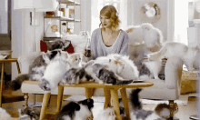 Crazy Cat Lady Taylor Swift GIF - Crazy Cat Lady Taylor Swift GIFs