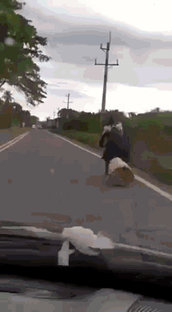 Witch Male Witch GIF - Witch Male Witch Broom GIFs