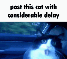 delay cat