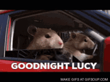 Rat Driving A Car Goodnight Lucy GIF - Rat Driving A Car Goodnight Lucy Goodnight Rat GIFs