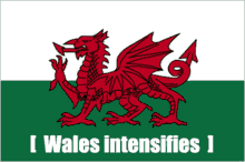 Wales Welsh GIF - Wales Welsh Flag GIFs