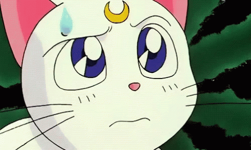 Sailormoon Artemis Gif Sailormoon Artemis Cat Discover Share Gifs