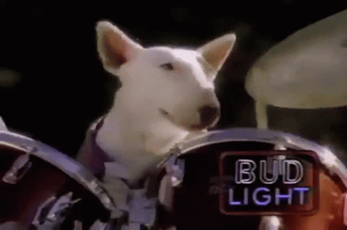 spuds,mackenzie,Spuds Mackenzie,dog,Dog Drums,drums,drumming,Dog Drumming,B...