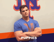 New York Mets Anthony Recker GIF - New York Mets Anthony Recker Puppies GIFs