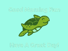 turtle baker turtle baker