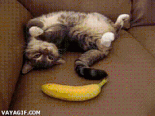 Seksi banana
