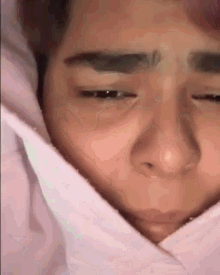 cat crying wipe tears sad cat crying wipe tears sad