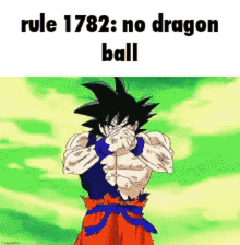 Rules Dragon Ball GIF - Rules Rule Dragon Ball GIFs