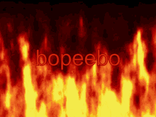 Fire Flame GIF - Fire Flame Bopeebo GIFs