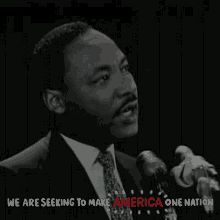 We Are Seeking To Make America One Nation America GIF - We Are Seeking To Make America One Nation America One Nation GIFs