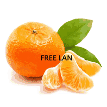 Free Lan GIF - Free Lan Lan Free GIFs