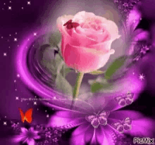 Pic Mix Flower GIF - Pic Mix Flower Beauty GIFs