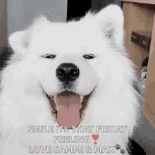 Dogs Cute GIF - Dogs Cute Adorable GIFs