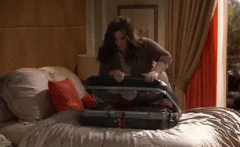 Packing Suitcase GIF - Packing Suitcase Fail - Discover & Share GIFs