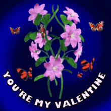 Youre My Valentine Will You Be My Valentine GIF - Youre My Valentine Will You Be My Valentine Happy Valentines Day GIFs