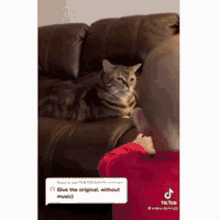 Disappointed Cat GIF - Disappointed Cat GIFs