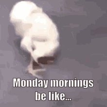 Mondaymood Monday GIF - Mondaymood Monday Morning GIFs