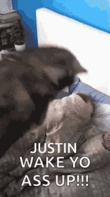 Wake Up Justin GIF - Wake Up Justin Justin Wake Up GIFs