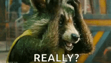 Guardians Of The Galaxy Frustrated GIF - Guardians Of The Galaxy Frustrated Rocket Racoon GIFs