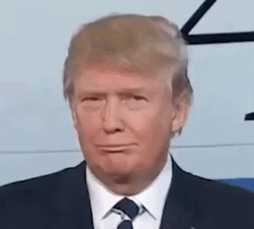 Donald Trump Smirk GIF - Donald Trump Smirk - Discover &amp; Share GIFs