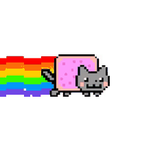 sad rainbow colorful cat pop tart