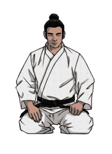 Karate Saluto GIF - Karate Saluto Rei GIFs