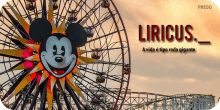 ferris wheel amusement ride amusement park mickey mouse