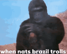when nats brazil trolls trolls gorilla fuck you middle f inger