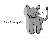 Hello August Cats GIF - Hello August Cats GIFs