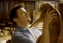Cat Jeremy Renner GIF - Cat Jeremy Renner Love GIFs