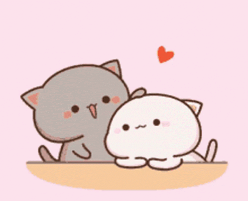 Two animated cats. A gray cat giving a white cat head pats and a hug, showing how much they love them.