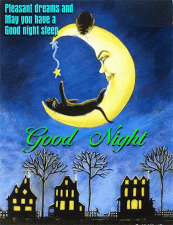 Have A Good Night Moon GIF - Have A Good Night Moon Cat - Discover ...