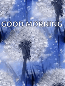 Morning Good GIF - Morning Good Sparkles GIFs