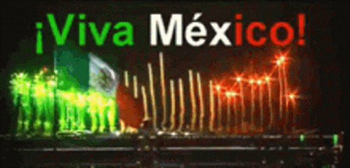 Viva Mexico Flag GIF - Viva Mexico Flag Fireworks GIFs