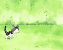 Chis Sweet Home Cat GIF - Chis Sweet Home Chi Cat GIFs