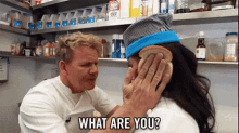 What Are You An Idiot Sandwich GIF - What Are You An Idiot Sandwich Gordon Ramsay GIFs