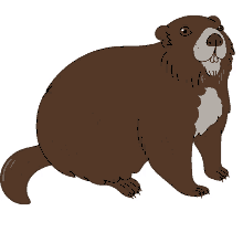 marmot vancouver