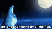 So Long And Thanks For All The Fish! - Hitchhiker'S Guide To The Galaxy GIF - Hitchhikers Guide To The Galaxy Dont Panic Dolphins GIFs